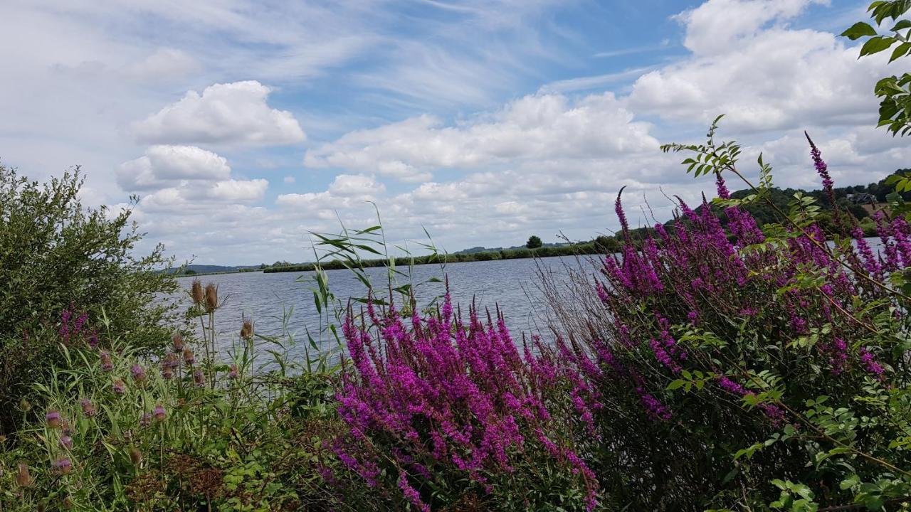 Belle Visnonia Meuble De Caractere Sud Morbihan Béganne Eksteriør bilde