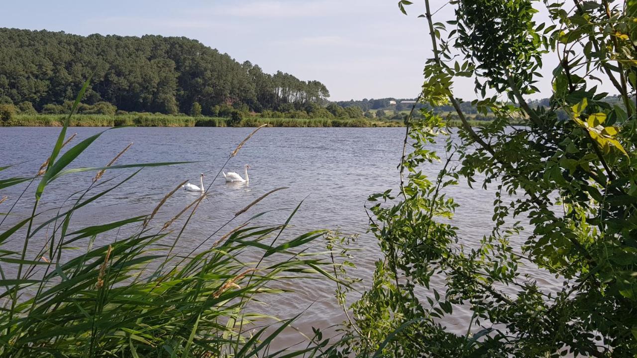 Belle Visnonia Meuble De Caractere Sud Morbihan Béganne Eksteriør bilde